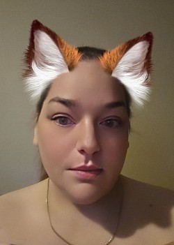 Fox face